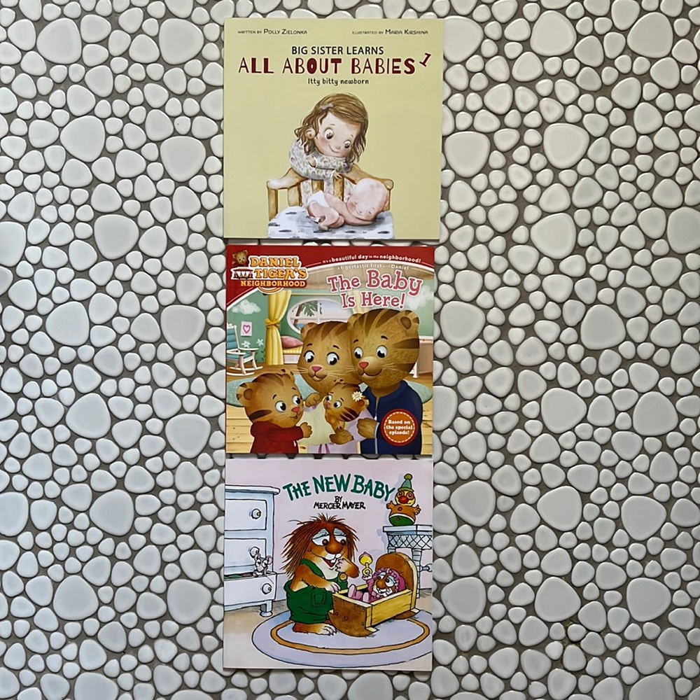 New Baby Big Sister Big Brother Lot of (3) Educational Toddler Books
